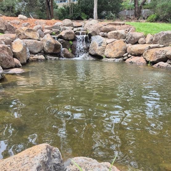Custom pond with boulders and waterfall